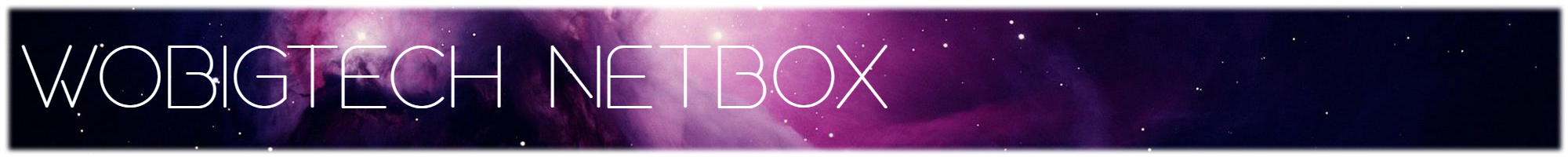 Wobigtech Netbox